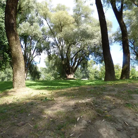 Bega